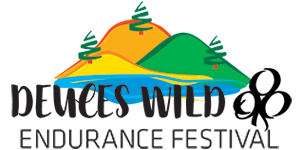 Deuces Wild Logo